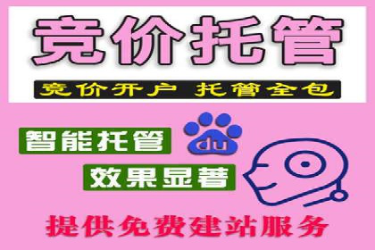 落地页在SEM优化中的重要性及成功案例
